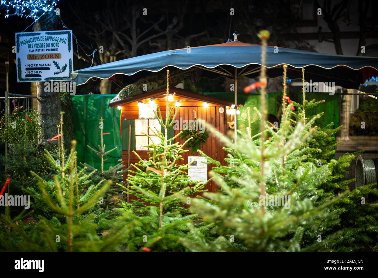 Strasbourg, France - Dec 20, 2016: Christmas market stall selling beautiful alsatian fir trees from Nord Vosges mountains ferme of Mr Zorn Nordman and Nobilis fir trees for sale Stock Photo