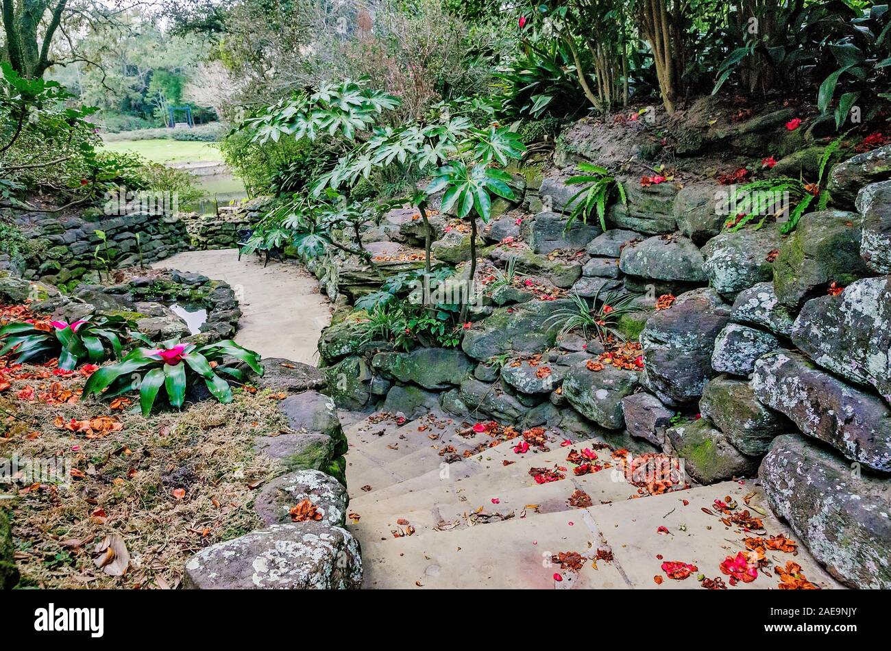 Flagstone steps lead visitors through The Rockery at Bellingrath Gardens, February 24, 2018, in Theodore, Alabama. Stock Photo