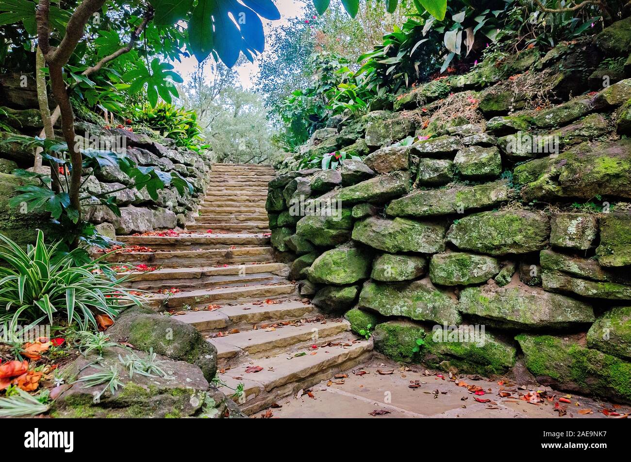 Flagstone steps lead visitors through The Rockery at Bellingrath Gardens, February 24, 2018, in Theodore, Alabama. Stock Photo