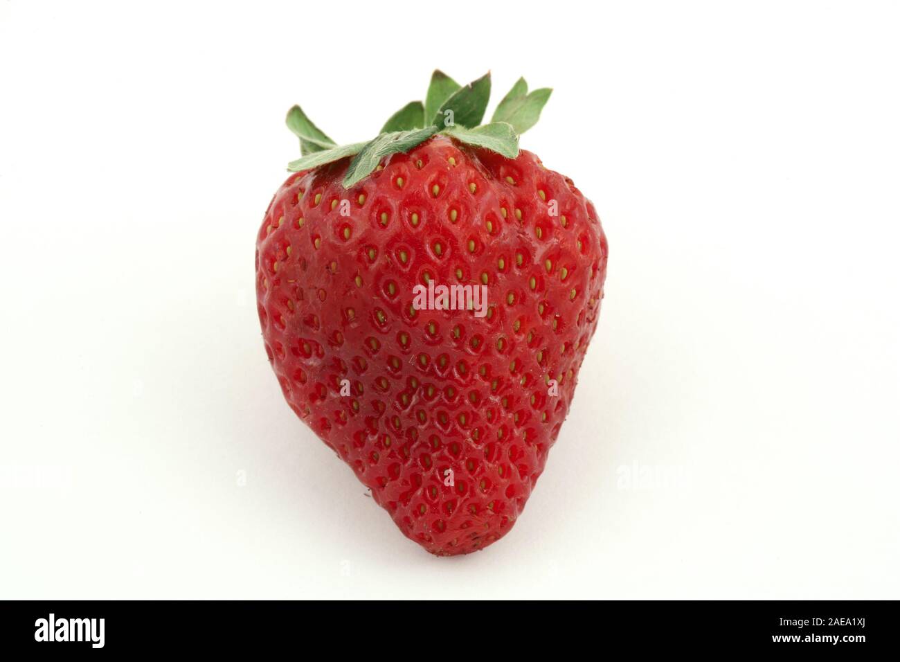 One strawberry white background hi-res stock photography and images - Alamy