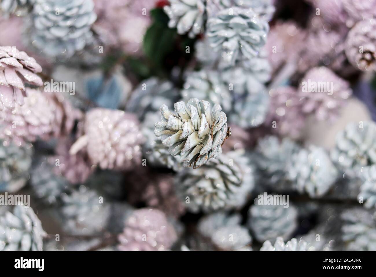 Defocused Christmas background filled of pastel colors painted pinecones for xmas tree decoration. Stock Photo