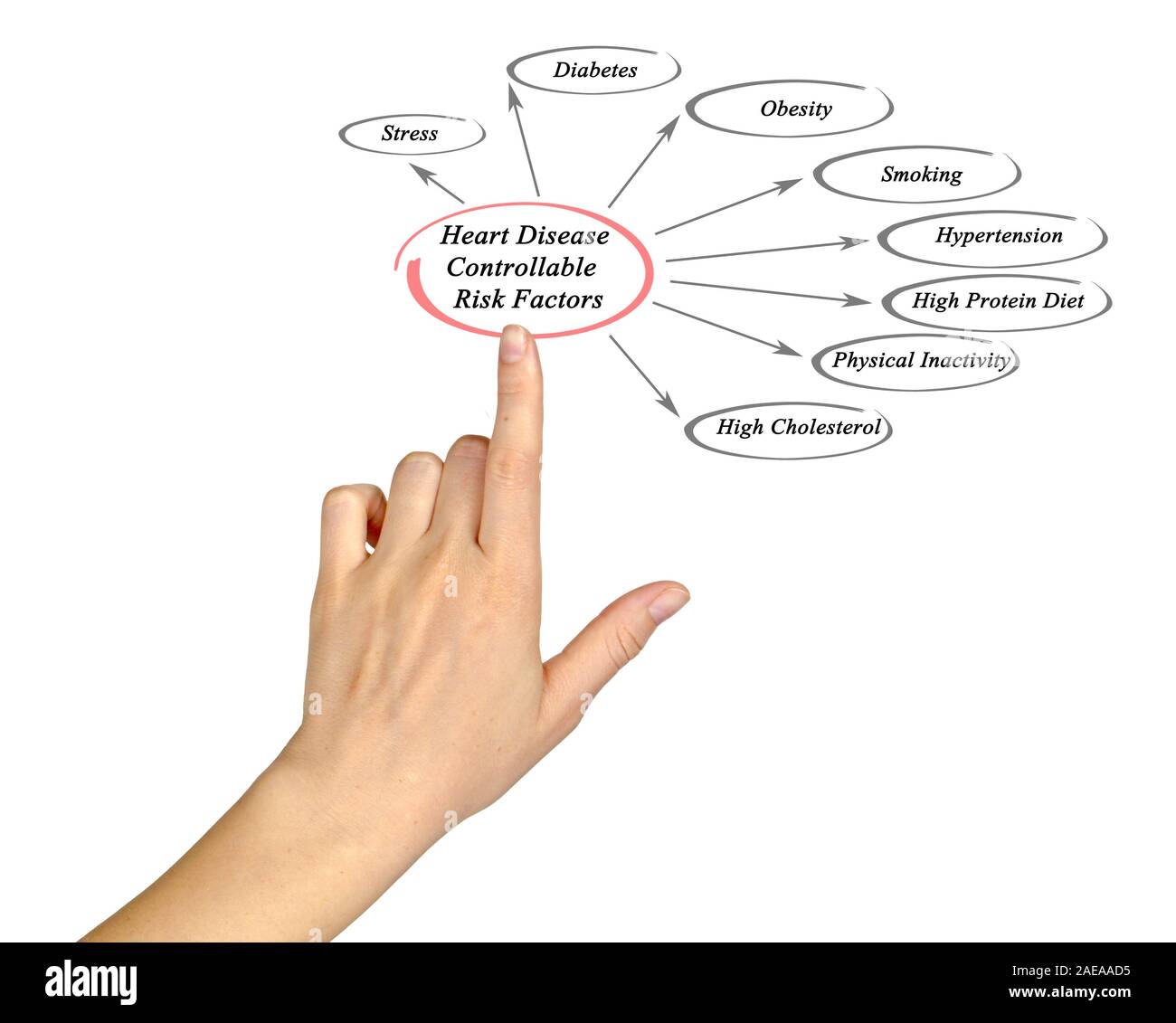 Heart Disease Controllable Risk Factors Stock Photo Alamy heart-disease-controllable-risk-factors-stock-photo-alamy