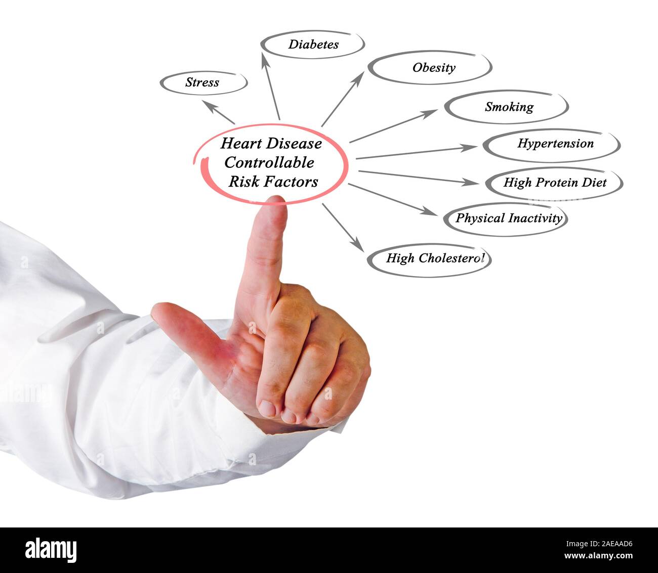 Heart Disease Controllable Risk Factors Stock Photo Alamy