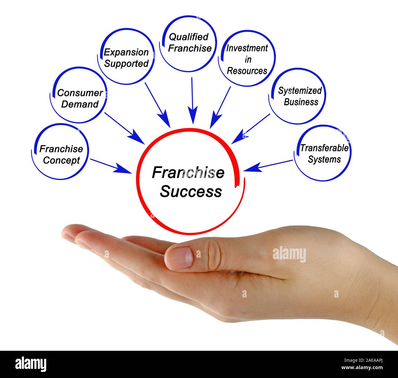 Causes of Franchise Success Stock Photo - Alamy