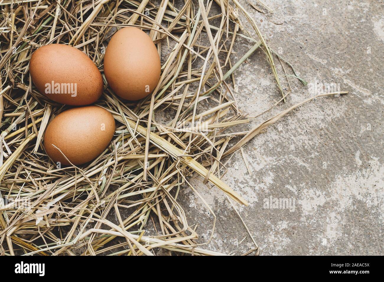 Three brown eggs on straw Stock Photo - Alamy
