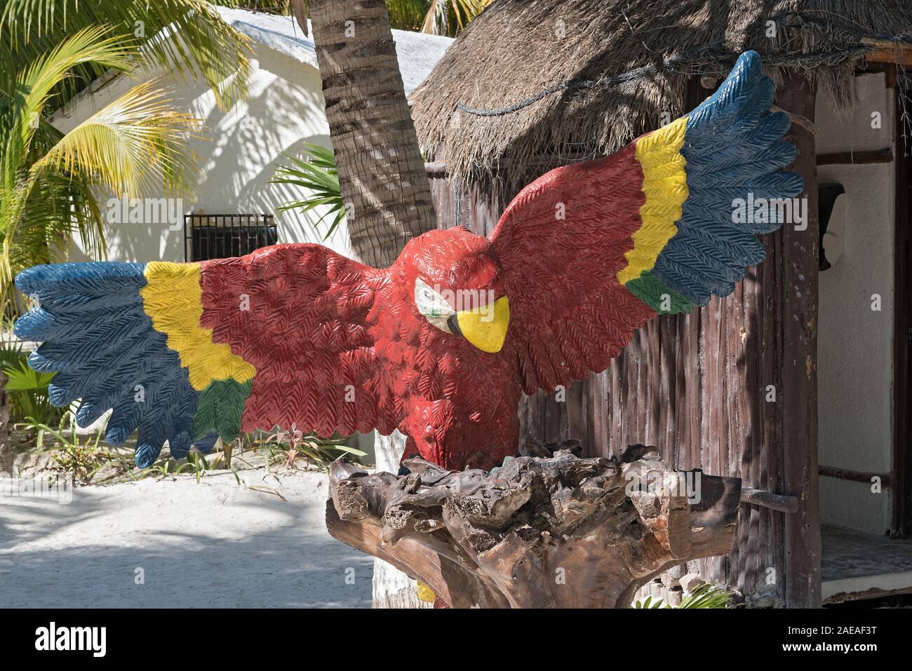 parrot model on a tree trunk on the beach of Tulum Mexico Stock Photo