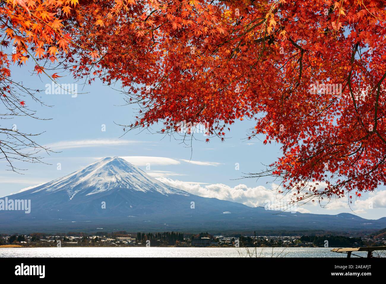 Red maple tree fuji mountain hi-res stock photography and images - Alamy
