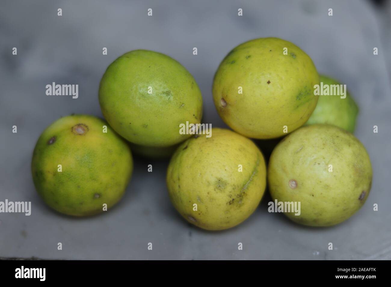 fresh green lemon fruits isolated on white background Stock Photo - Alamy