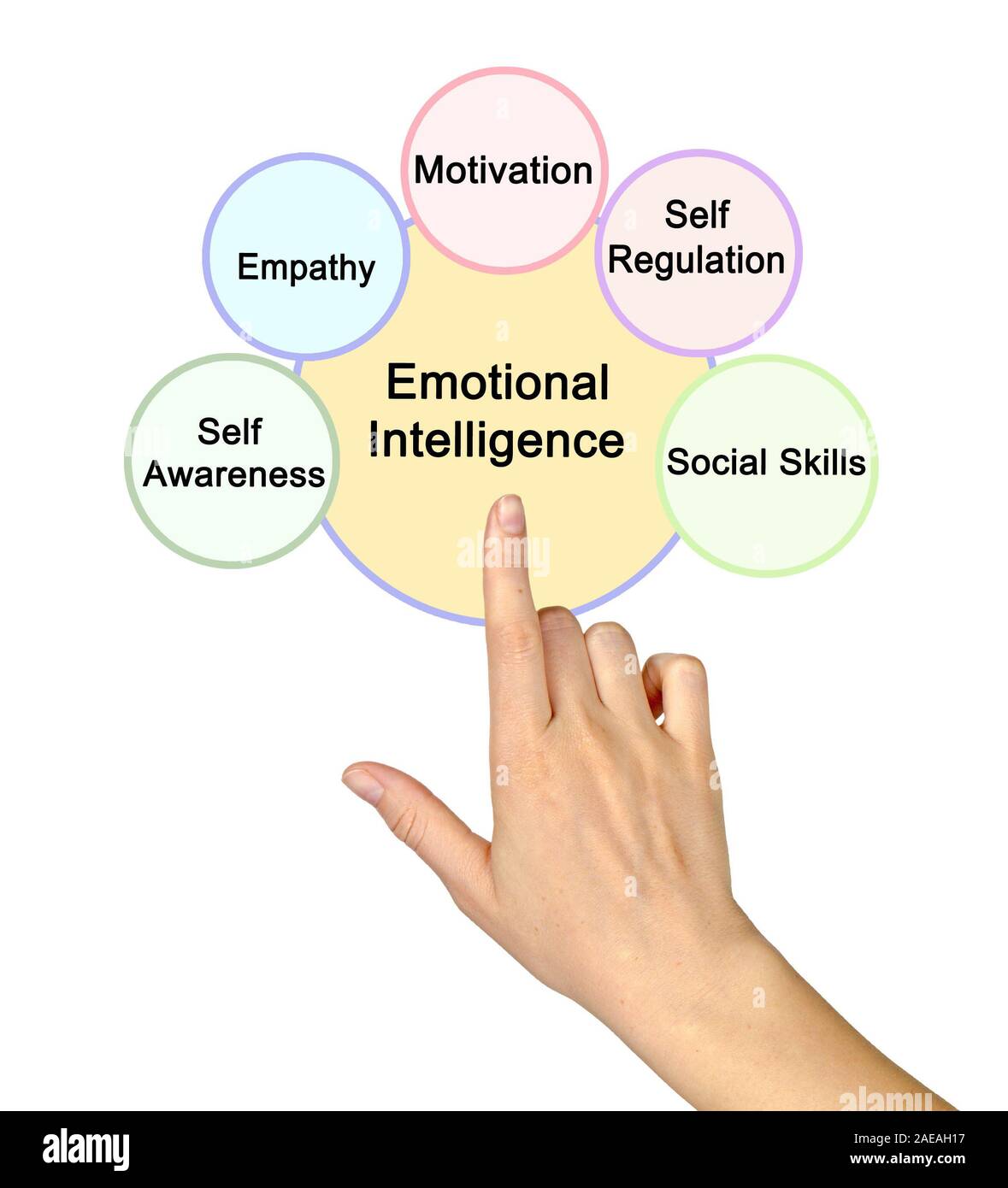 Five components of emotional intelligence stock photo alamy