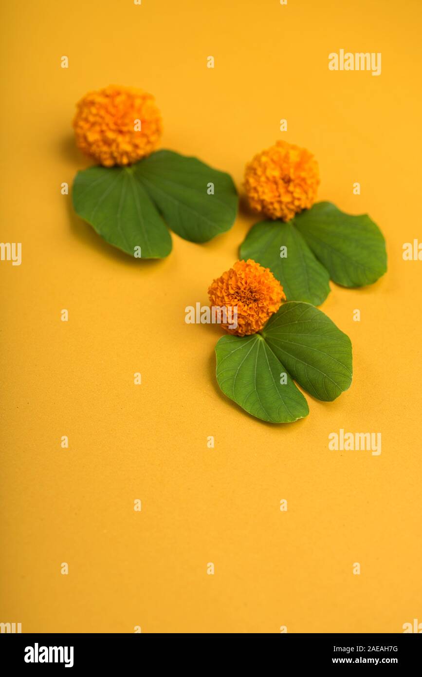 Indian Festival Dussehra, showing golden leaf (Bauhinia racemosa) and marigold flowers on a yellow background. Stock Photo