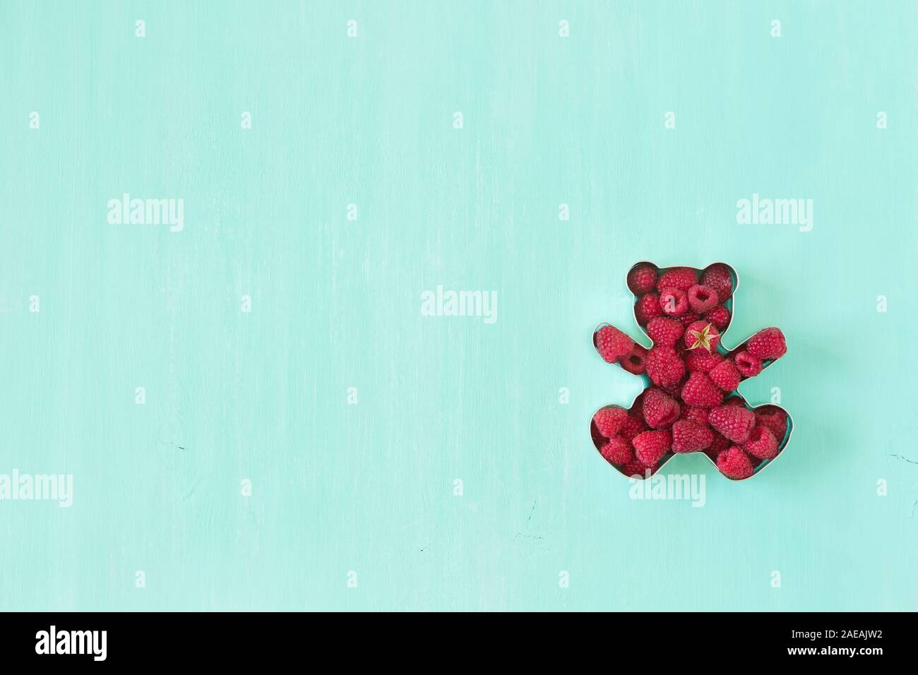 Teddy bear shaped mold for the cookies full of fresh organic raspberries on turquoise background. Stock Photo
