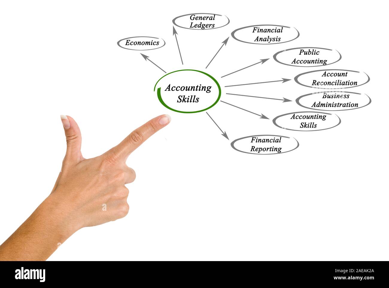 Топ кд стандофф 2. Accountant hard skills soft skills. Accountant skills. Аккаунт скилл. Аккаунт скилл.