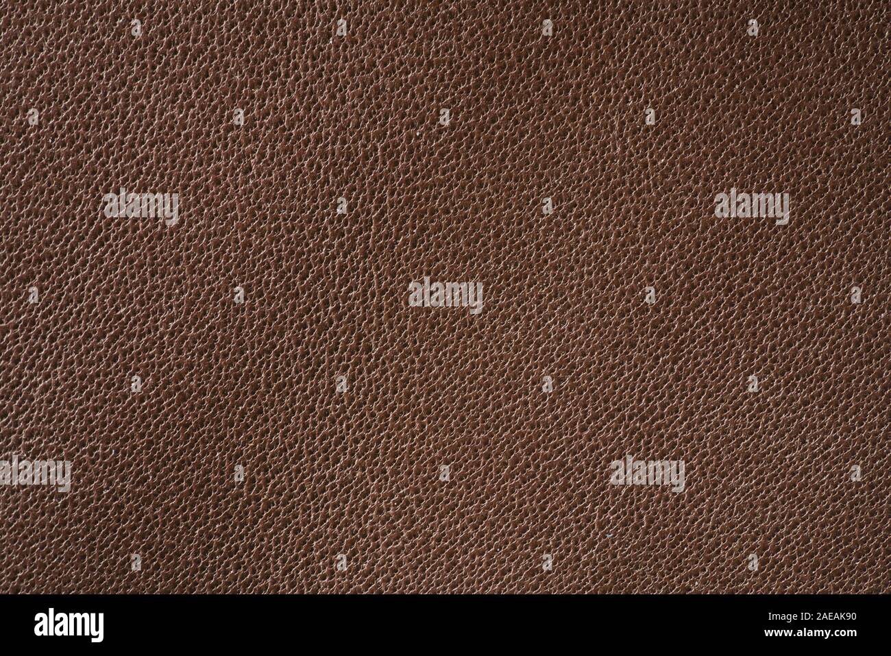 Texture of backside of brown toned leather, high detailed Stock Photo