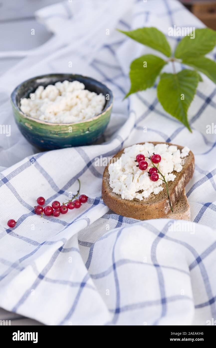 Organic Farming Cottage Cheese In A Green Bowl Slice Of Whole