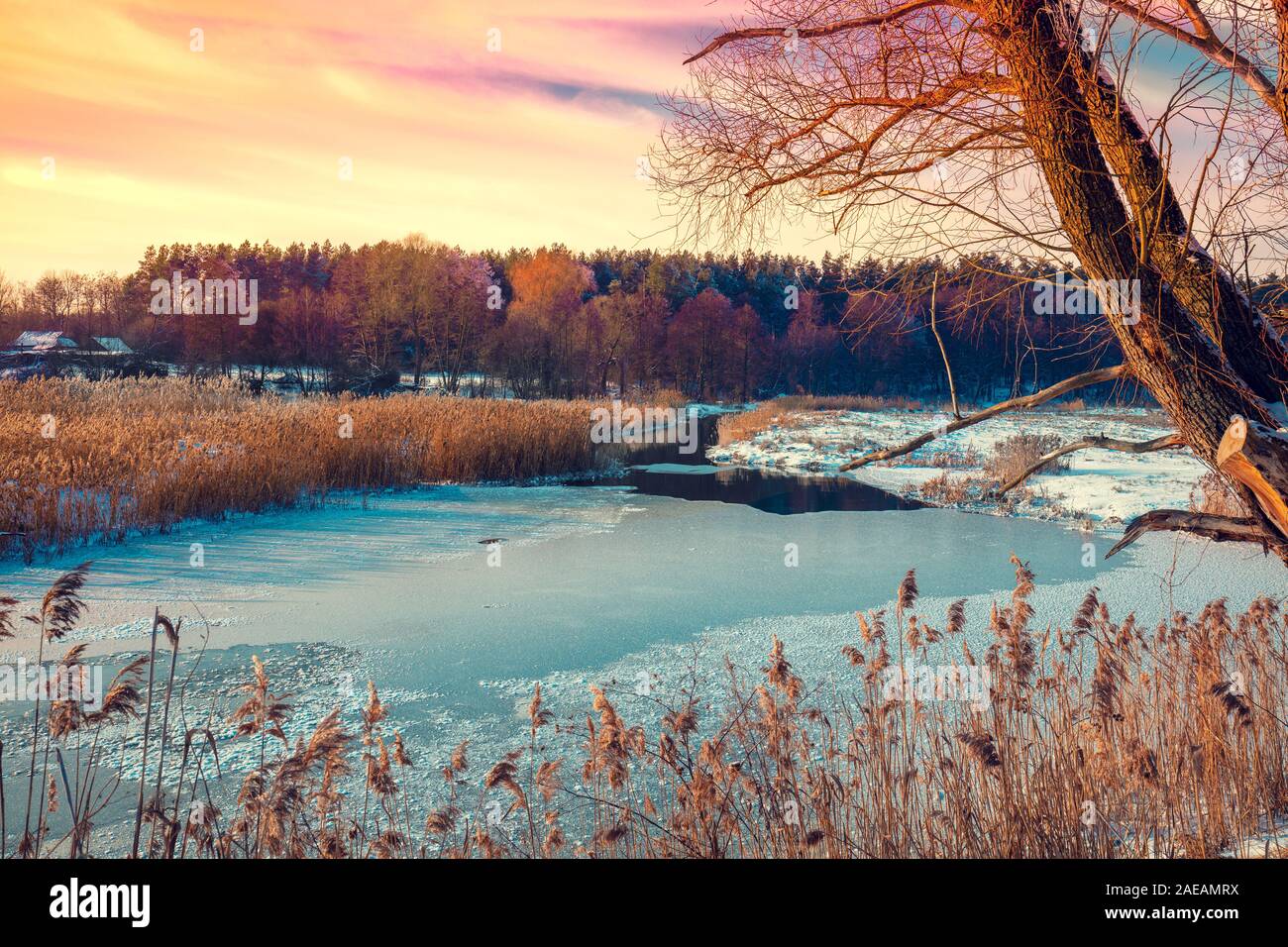 Beautiful winter rural landscape. Frozen lake on the edge of the village Stock Photo