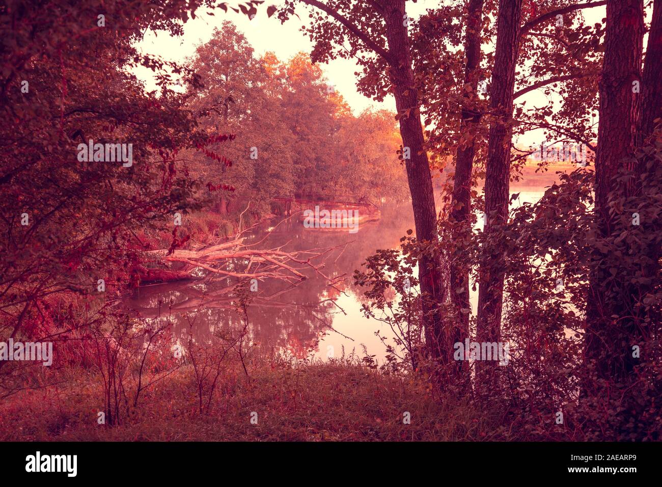 Magical sunrise over the lake. Serene lake in the early morning. Nature ...