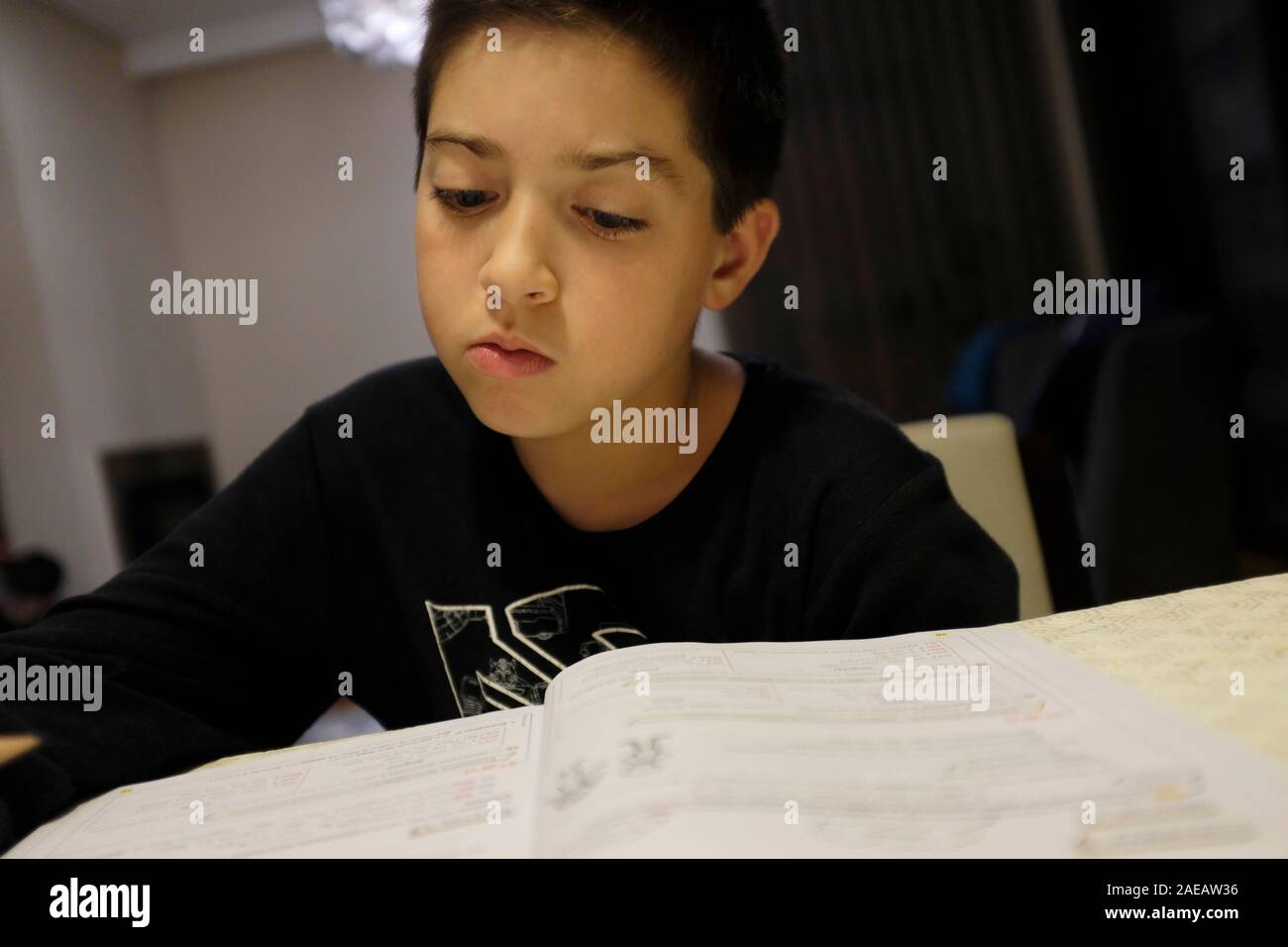 11 years old boy studying at home Stock Photo Alamy