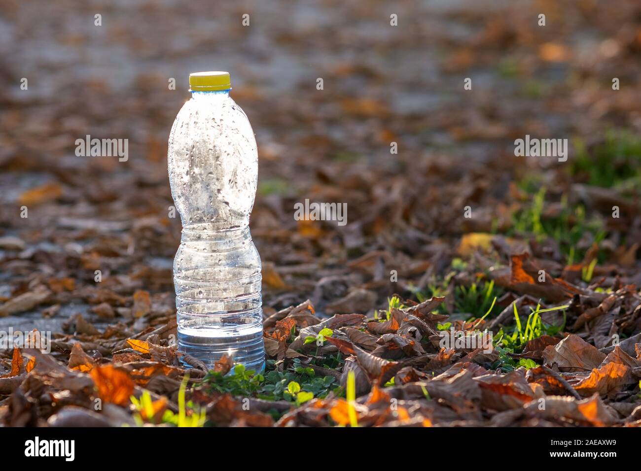 Used plastic bottle thrown away on grass covered ground outdoors. Pollution of nature concept. Stock Photo