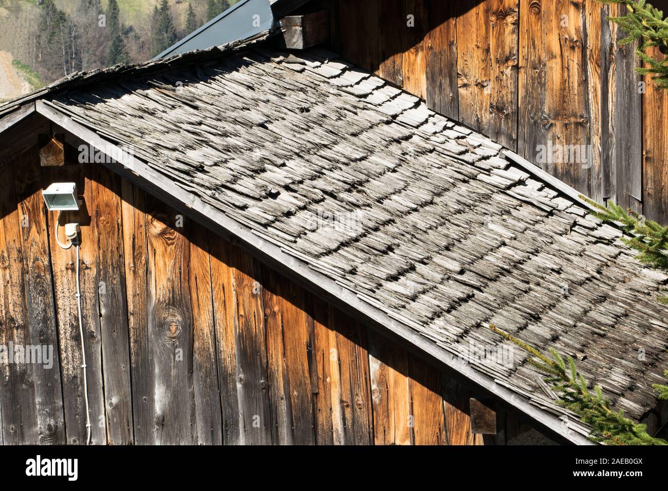 Roofing preparation asphalt shingles installing on house construction  wooden roof with bitumen spray and protection rope, safety kit. Roofing  constru Stock Photo - Alamy