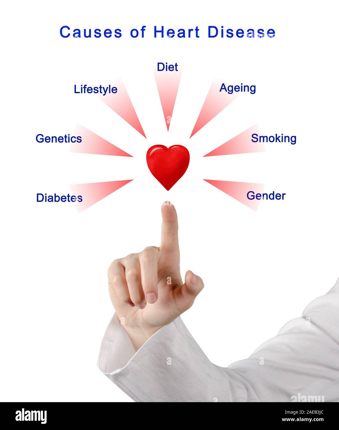 Causes Of Heart Disease Stock Photo Alamy causes-of-heart-disease-stock-photo-alamy
