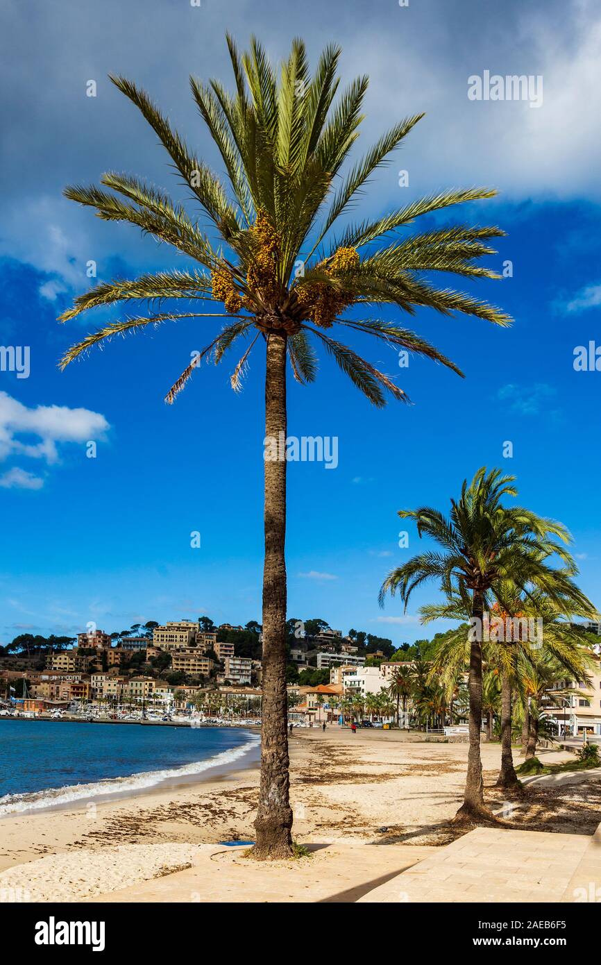 Beach Promenade at Port de Soller, Mallorca, Majorca, Balearic Islands, Balearics, Spain, Europe Stock Photo