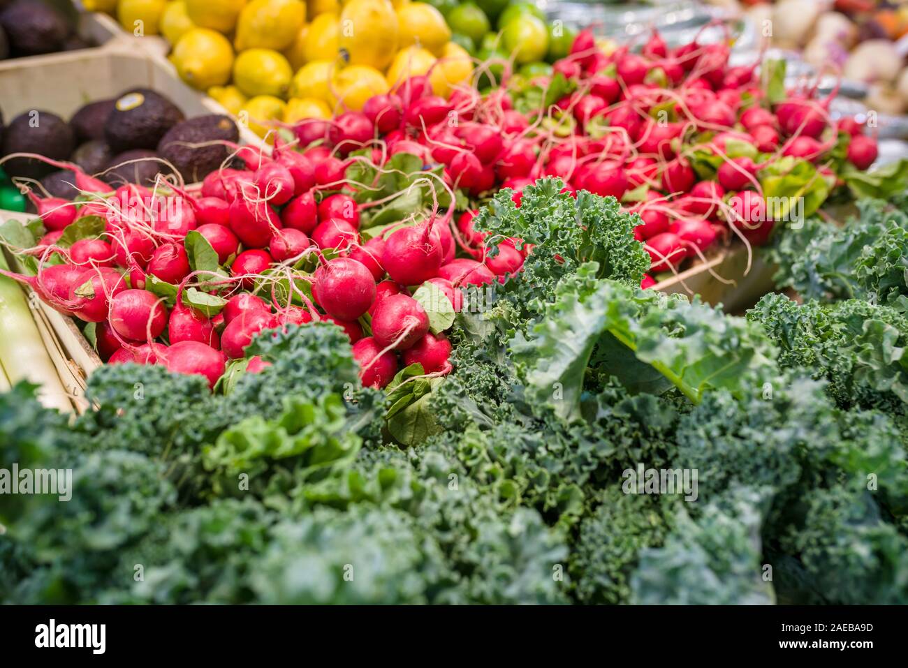 Organic vegetables in local organic farmers market Stock Photo