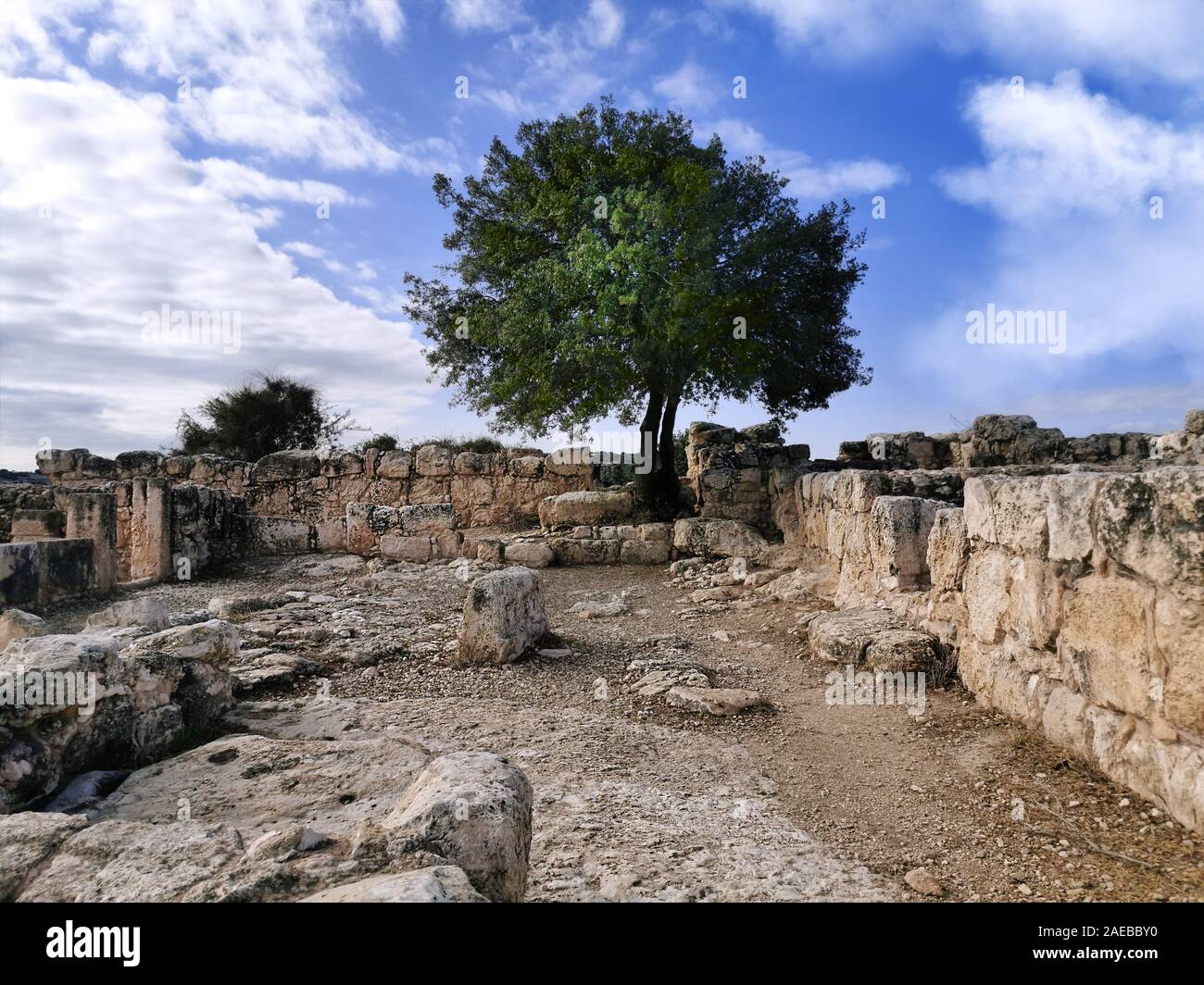 Ancient ruins in Adulam Nature Reserve since the Bar Kochba Revolt. Tree and ancient place. Stock Photo