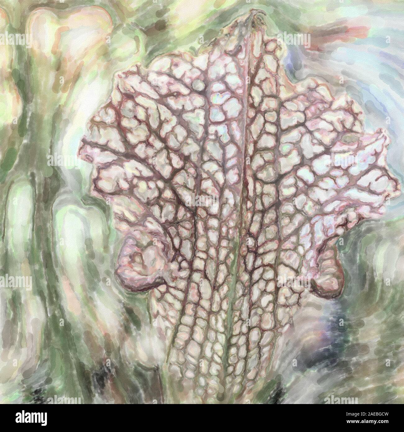 watercolor illustration Closeup view of the pitcher plant Nepenthes