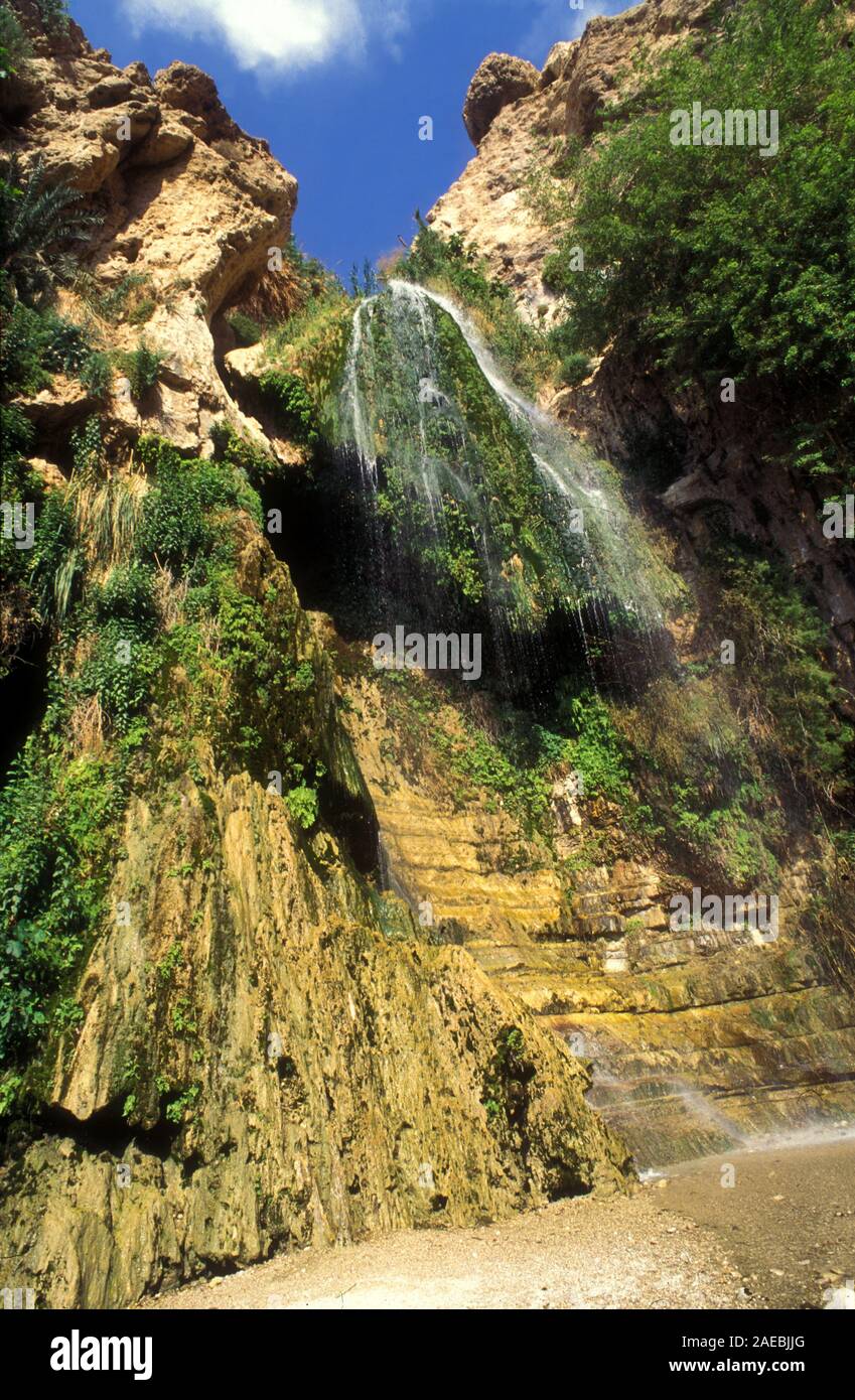 Ein Gedi sweet water springs, in the Judean desert, Israel, the lower waterfall in Wadi David nature reserve Stock Photo