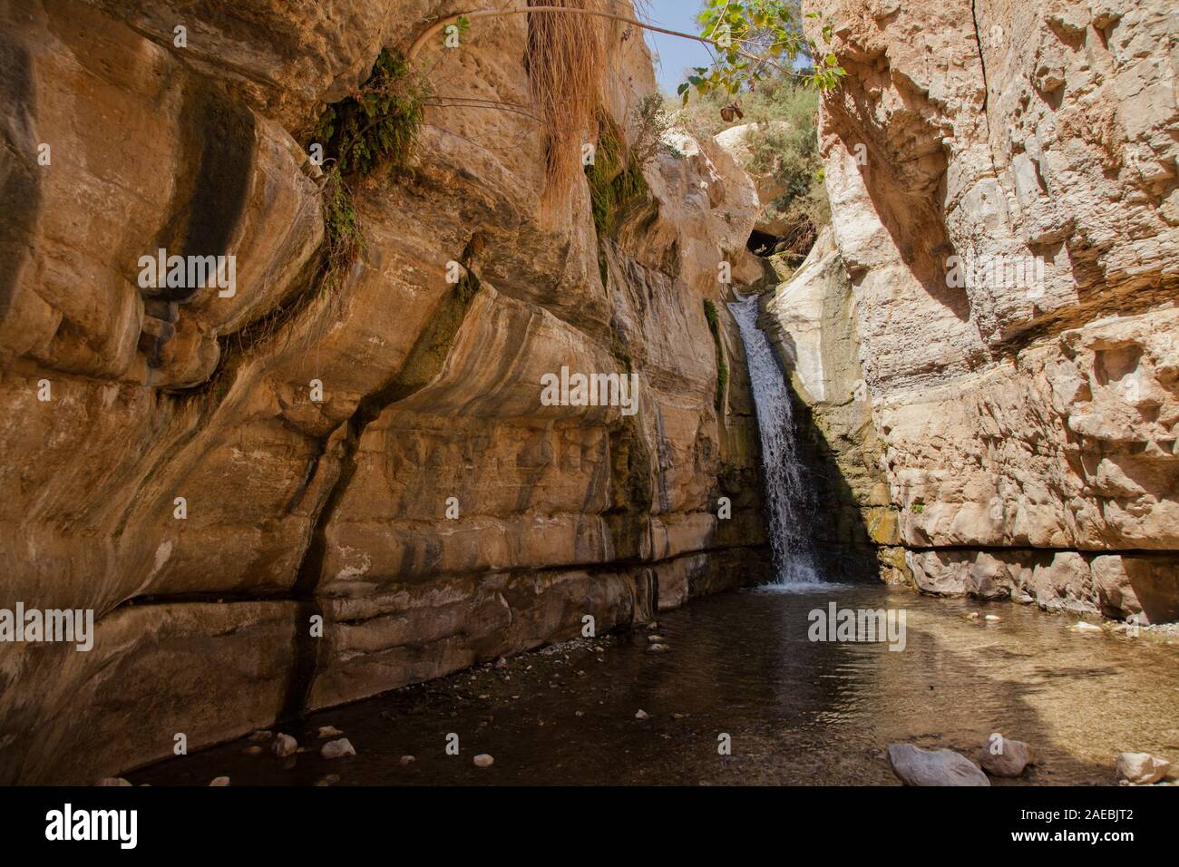 Ein Gedi sweet water springs, in the Judean desert, Israel, Waterfall in Wadi David nature reserve Stock Photo