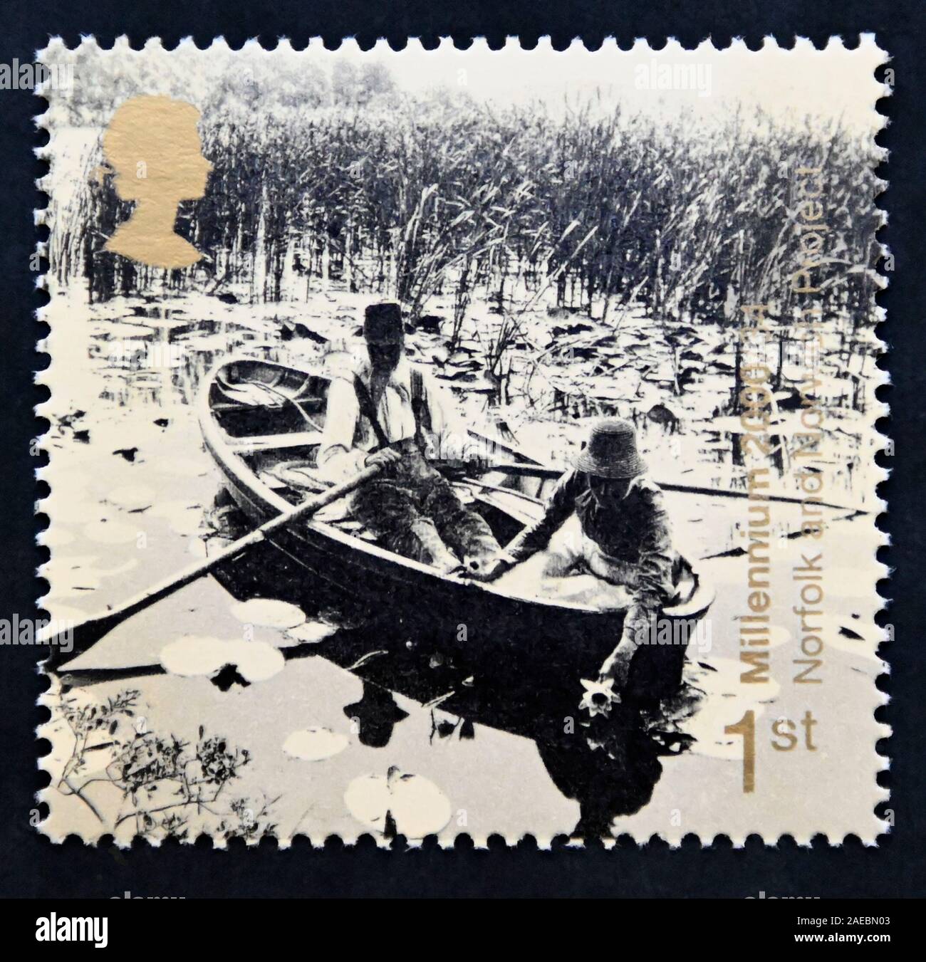 Postage stamp. Great Britain. Queen Elizabeth II. Millenium Series. 'Mind and Matter'. Gathering Water Lillies on Broads (Norfolk and Norwich Project) Stock Photo