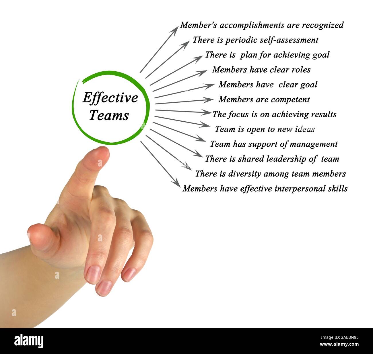 Effective teams Stock Photo