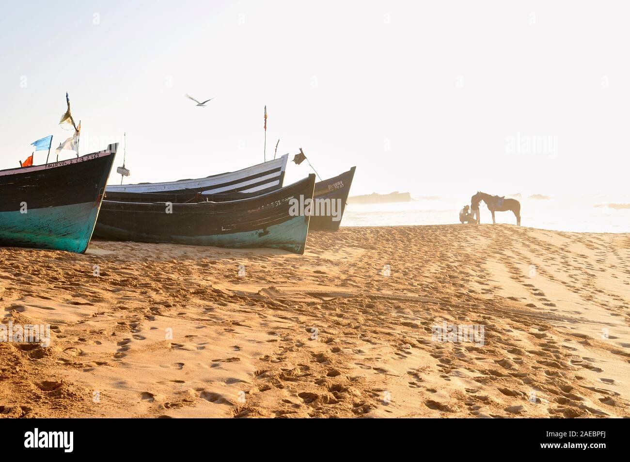 Traditional fishing boats beached and local horsemen with a riding horse in Oualidia beach seashore at sundown (El Jadida, Casablanca-Settat, Morocco) Stock Photo