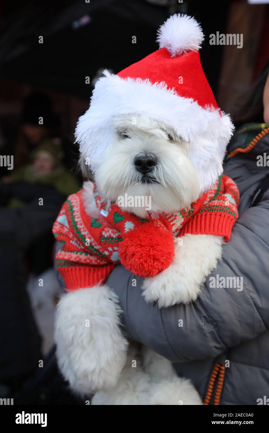 Garden gate hampstead hires stock photography and images Alamy