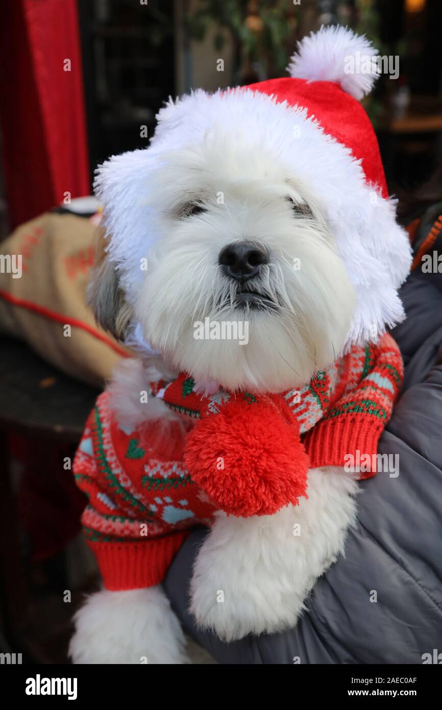 Garden gate hampstead hires stock photography and images Alamy