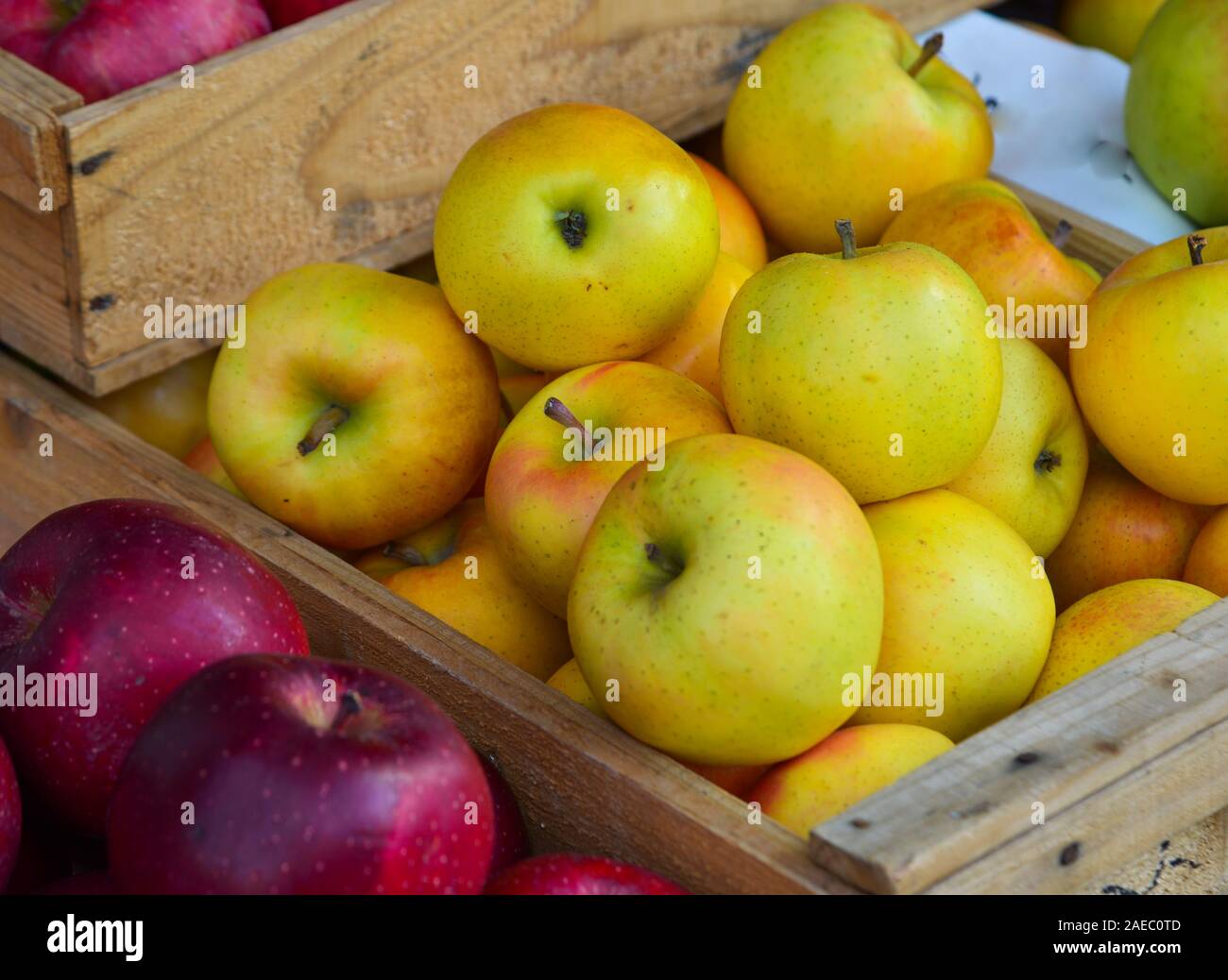 Fresh apple fruits for sale at street market in Aomori, Japan. Aomori