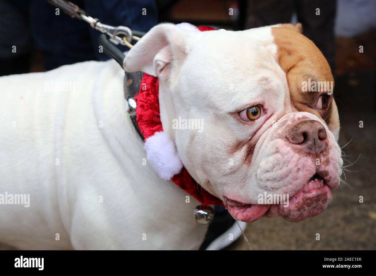Garden gate hampstead hires stock photography and images Alamy