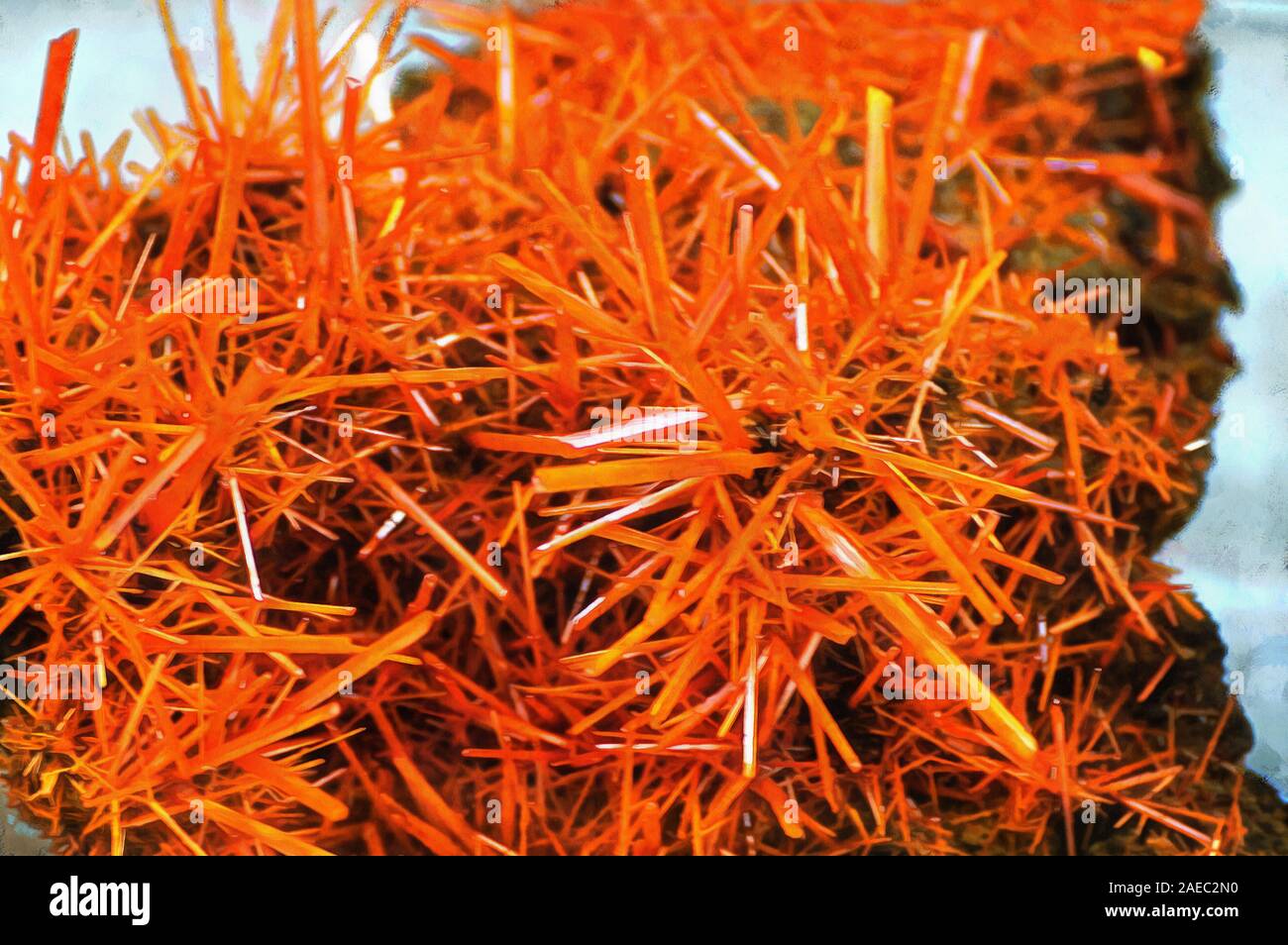 Illustrations Crocoit,PbCrO4, red lead ore, collection, mineral