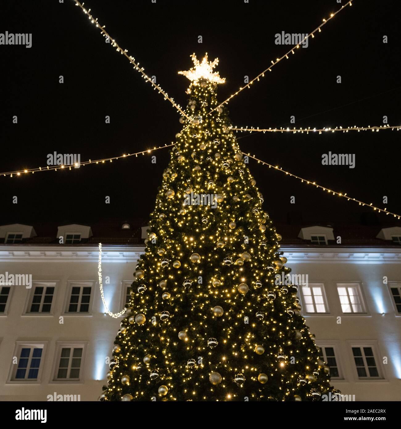 Stylish Christmas tree with golden lights and illuminated star on top ...
