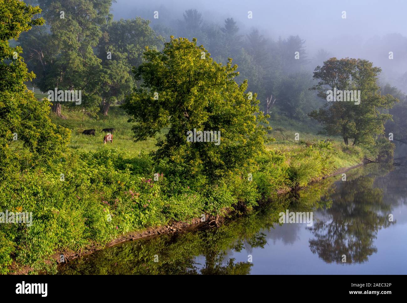 Battenkill river hires stock photography and images Alamy