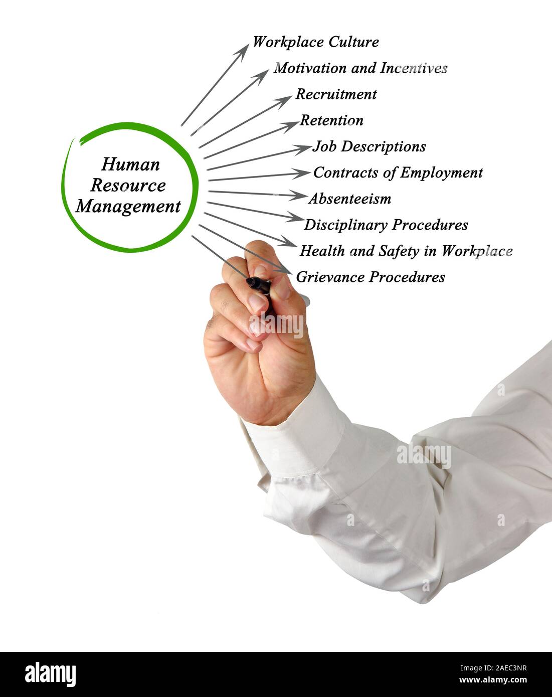 Diagram of Human Resource Management Stock Photo