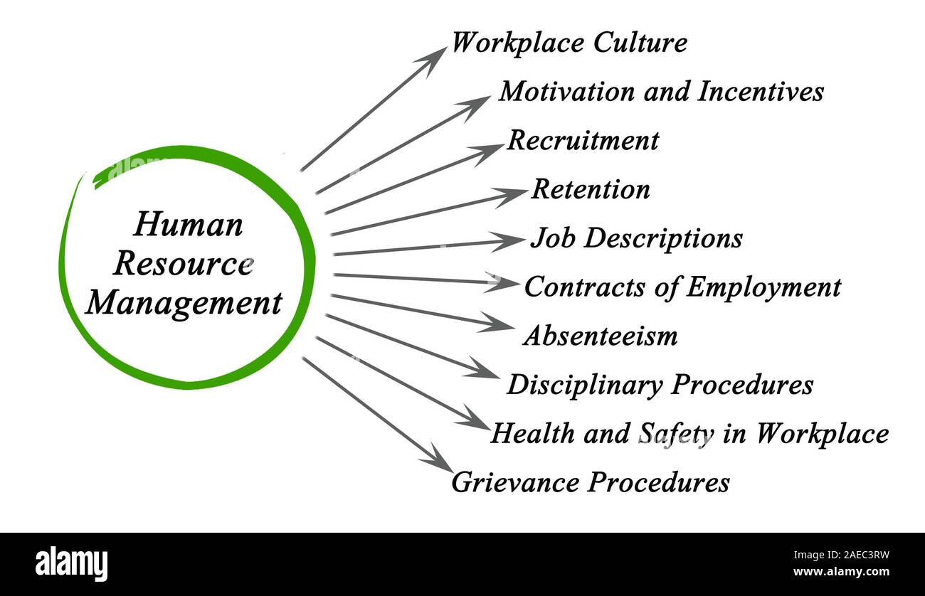 Diagram of Human Resource Management Stock Photo