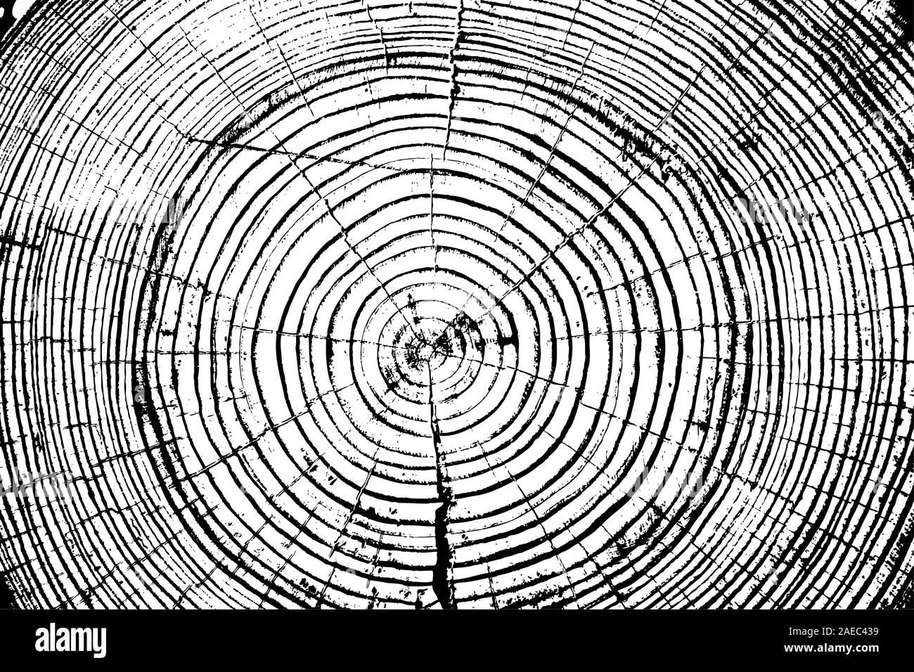 Tree rings saw cut tree trunk background. Vector illustration Stock ...