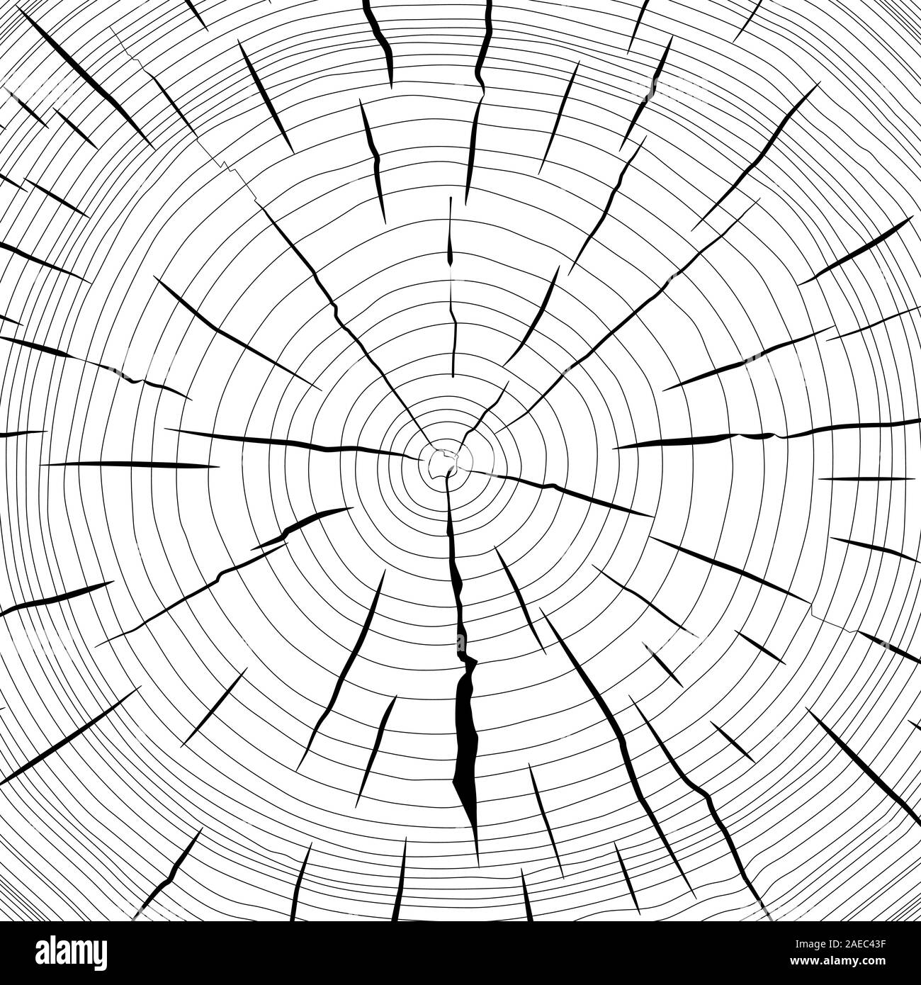 Tree rings saw cut tree trunk background. Vector illustration Stock ...