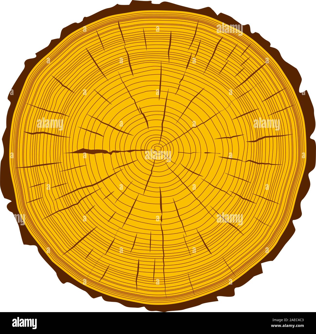 Tree rings saw cut tree trunk background. Vector illustration Stock ...