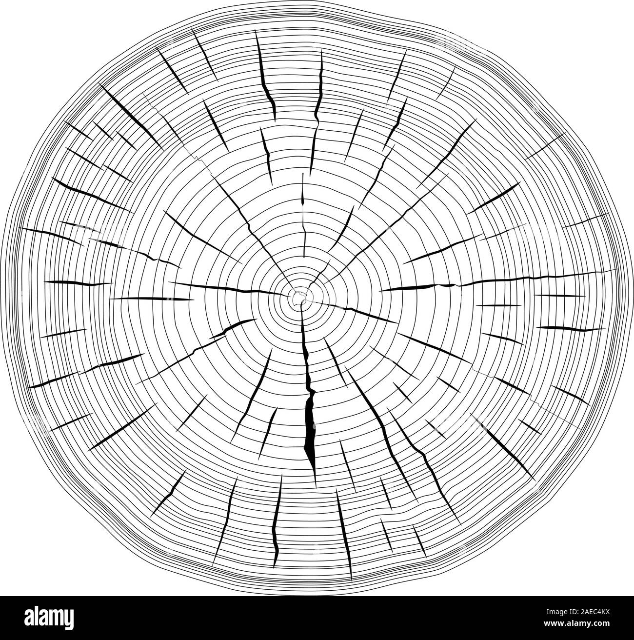 Tree rings saw cut tree trunk background. Vector illustration Stock ...