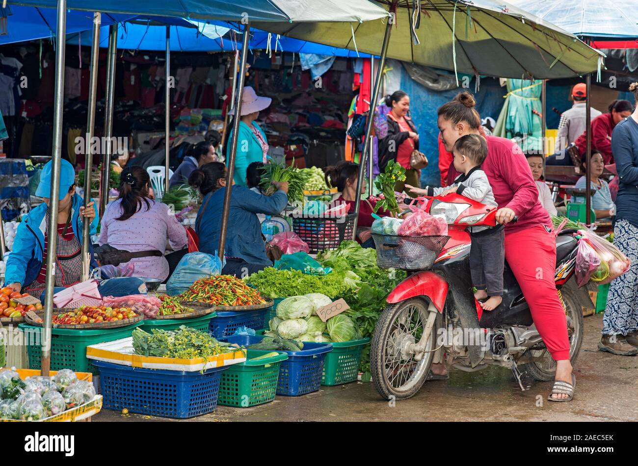 Drive-in vegetable shopping on a motor bike at Phosi market, Luang Prabang, Laos Stock Photo