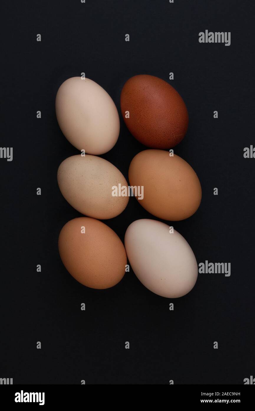 Frische Eier Stock Photo