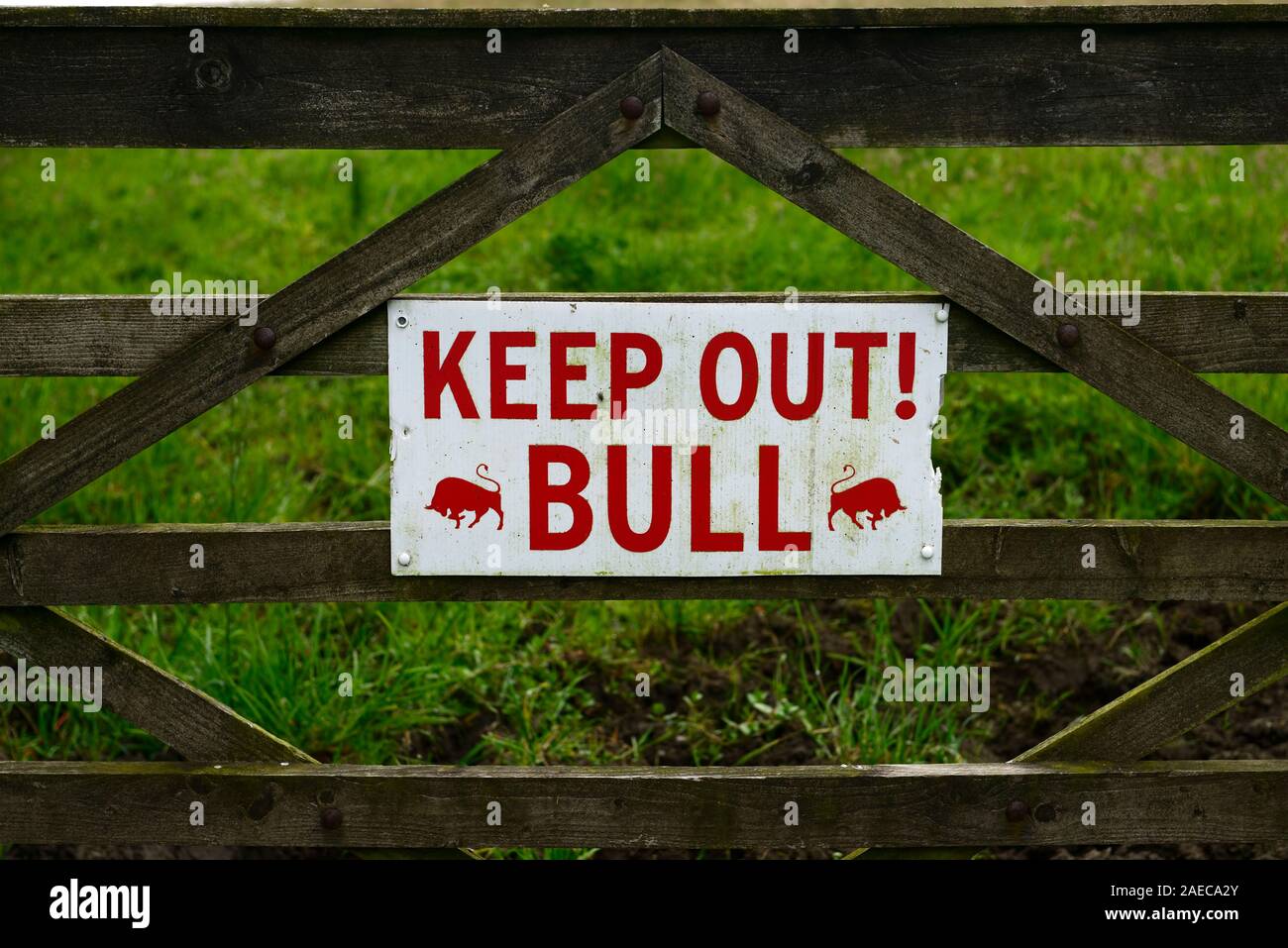 warning sign,keep out bull,beware of the bull,danger,dangerous livestock,bull,bulls,risk,risky,gate,lock,locked,farm,farmland,safety,farm safety,dange Stock Photo