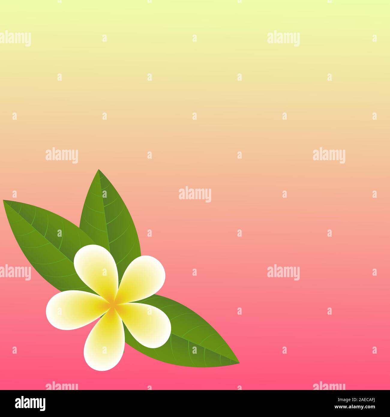 Frangipani ( Plumeria) flower template for design vector EPS10. Bali vacations concept. Copy ...